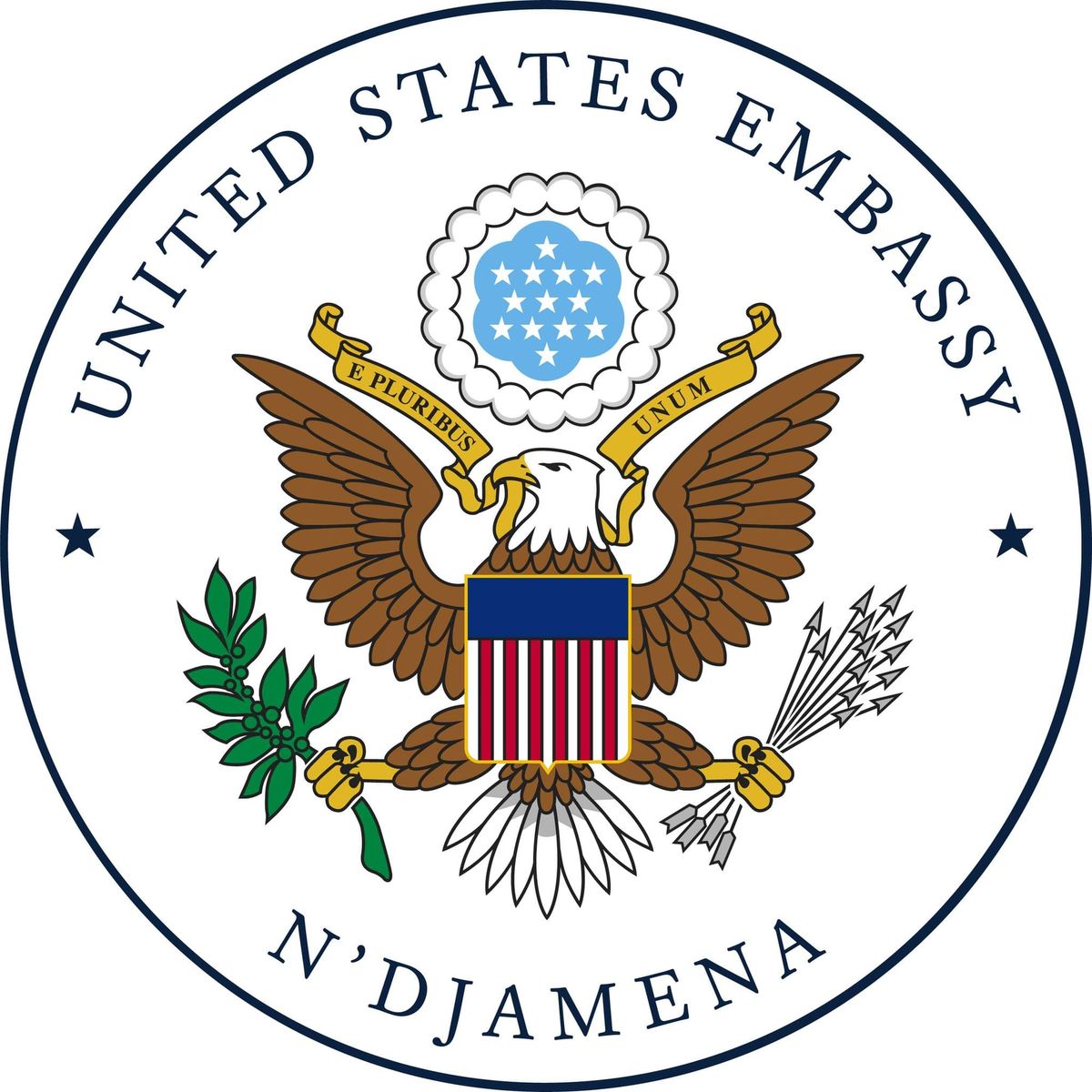 Réunion en ligne des Américains au Tchad