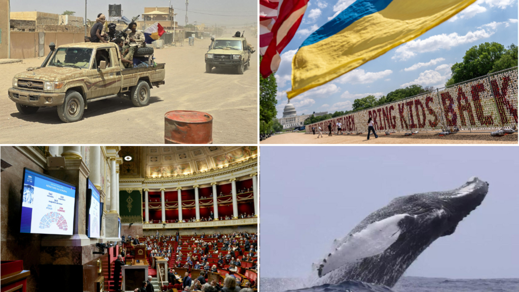 photomontage illustrant l'actualité au Mali