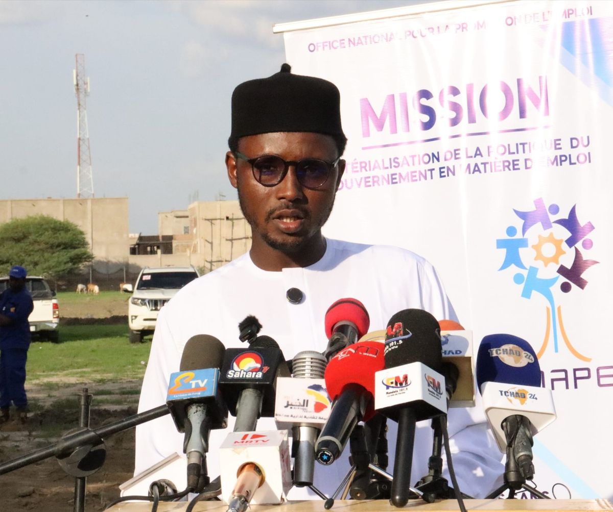 Deux cents jeunes formés aux métiers du maraîchage écologique à N'Djamena