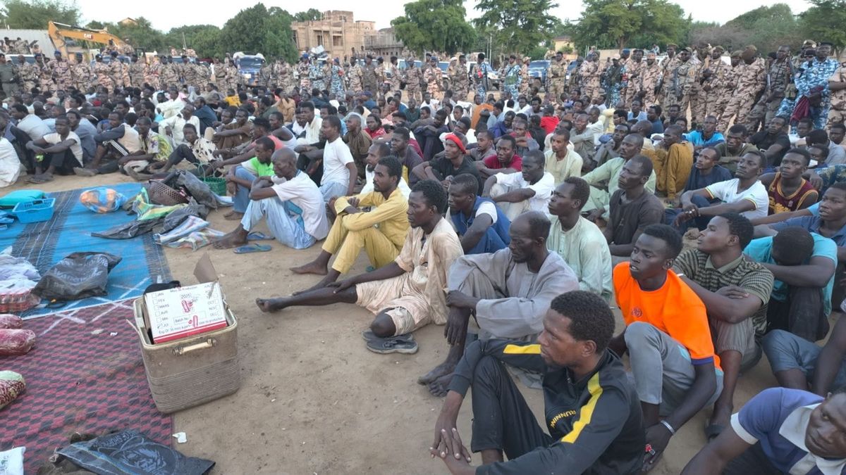 Interpellation massive dans le cadre d'une opération anti-criminalité à N’Djamena